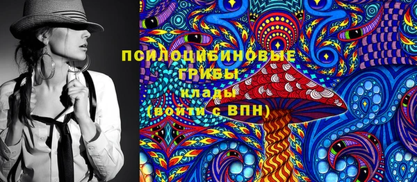 ПСИЛОЦИБИНОВЫЕ ГРИБЫ Арсеньев