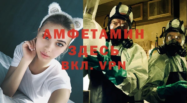 mix Богородицк