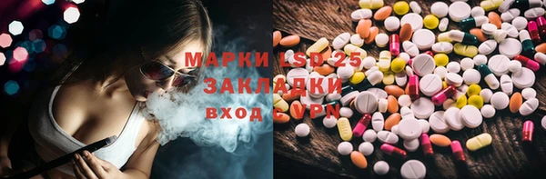 ПСИЛОЦИБИНОВЫЕ ГРИБЫ Арсеньев
