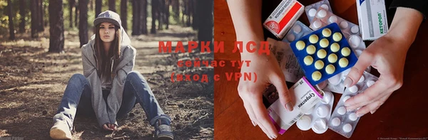 ПСИЛОЦИБИНОВЫЕ ГРИБЫ Арсеньев